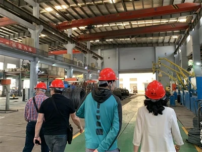 Klientas iš Turkijos atvyksta į mūsų įmonę